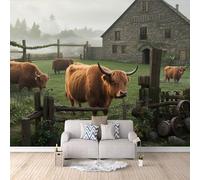 Papier Peint Intissé Vache Des Highlands 300x256 cm, Animaux Ferme Papier Peint Panoramique,Photo Muraux Utilisé Pour Salon Chambre Chambre D'Enfant