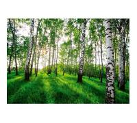 Papier Peint Intissé vert Forêt Bouleau Panoramique 368x254 cm Vert Paysage Chambre Salon Photo Non Tissé Muraux Trompe l'oeil