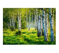 Papier Peint Intissé vert Foret Bouleau Panoramique 416x254 cm Vert Paysage Chambre Salon Photo Non Tissé Muraux Trompe l'oeil
