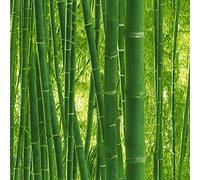 Papier peint japonais chinoiserie chinois asiatique couloir 938718 93871-8 Lutèce Authentic Walls | Vert | Rouleau (10,05 x 0,53 m) = 5,33 m²
