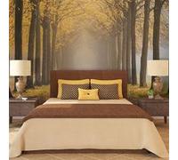 Papier peint Journey to the unknown-Taille L 250 x H 193 cm Imprimé