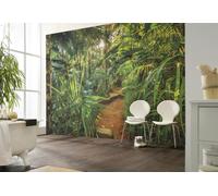 Papier Peint Jungle 368x254cm Art Mural De Salle De Bain Végétal Vert