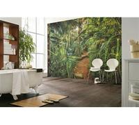 Photo Murale, 368cm x 254cm, Sentier Jungle