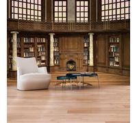 Papier peint Non renseigné Papier peint Library of Dreams-Taille L 400 x H 280 cm