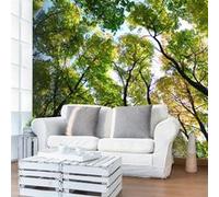 Papier peint Looking up at the trees-Taille L 250 x H 193 cm Imprimé