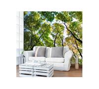 Papier peint Looking up at the trees-Taille L 200 x H 154 cm Imprimé