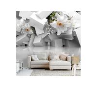 Papier peint Lost in Chaos-Taille L 100 x H 70 cm