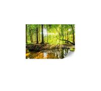 Papier Peint - LUMASOUL - Modèle Éclectique - 5-2-11-0-1-2-7-0 - assemblage par collage - Forêt - 400x280 cm