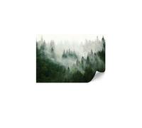 Papier Peint - LUMASOUL - Modèle Éclectique - 5-2-4-0-1-1-7-0 - assemblage par collage - Forêt - 400x280 cm