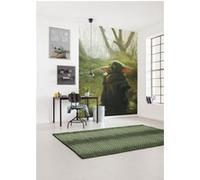 Papier peint panoramique Komar Mandalorian Grogu Acrylic L.2 m x l.280 cm