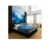 Papier peint Marguerite sur une prairie bleue-Taille L 350 x H 270 cm