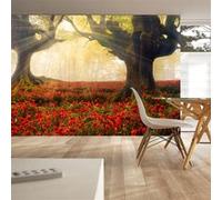 Papier peint Morning among poppies-Taille L 400 x H 280 cm Imprimé