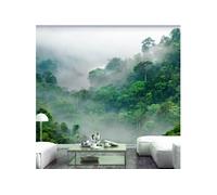 Papier peint - Morning Fog - 100x70 (58197)