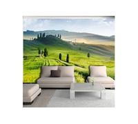 Papier peint Morning in the countryside-Taille L 300 x H 210 cm Imprimé