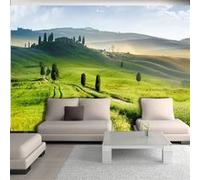 Papier peint Morning in the countryside-Taille L 300 x H 210 cm Imprimé