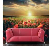 Papier peint Morning on the poppy meadow 2-Taille L 300 x H 231 cm Imprimé