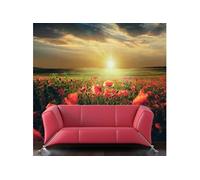 Papier peint Morning on the poppy meadow 2-Taille L 400 x H 309 cm Imprimé