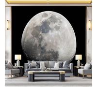 Papier Peint Motif Gros plan Texture Lune, Noir abricot 3D Panoramique Papier Peint, Mural Decoratif Pour Salon Chambre TV mur salon Murales, Moderne Décoration Murale 200 x 140 cm