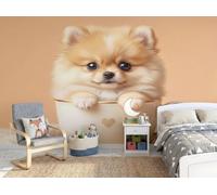 Papier Peint Mug Chiot Poméranien, 300x210cm, Beige | Papier Peint Panoramique Adorables Animaux De Compagnie Au Design Réaliste, Decoration Salon Chambre, Décor Soie Murale Poster Tableaux Muraux