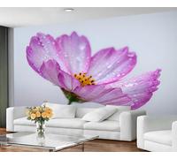 Papier peint mural à motif de cosmos violet avec gouttes de rosée, gros plan floral, idéal pour la chambre, décoration murale inspirée par la nature. 250x195cm (Non autocollant)