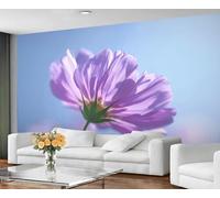 Papier peint mural à motif de cosmos violets, gros plan floral, pour chambre à coucher, décoration murale sur fond de ciel bleu serein 300x230cm (Non autocollant)