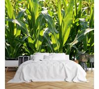 Papier Peint Mural Autocollant En Vinyle 3D Représentant Un Champ De Maïs, Paysage Naturel Avec Feuilles Vertes, 300 X 200 Cm (L X H), Amovible et Imperméable, Style Cottage, pour Chambre Ou Salon.