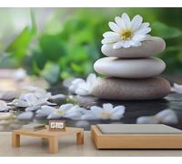 Papier peint mural avec pierres zen - 250 x 175 cm - Paysage naturel - Marguerites blanches - Décoration murale zen - Pour salon, chambre à coucher - Décoration murale zen (ne pas décoller et coller)