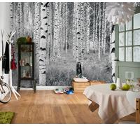 Papier Peint Mural Botanique Vert Jungle Forêt Photo Enfant Affiche Art Mur