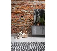 Papier Peint Mural Botanique Vert Jungle Forêt Photo Enfant Affiche Art Mur