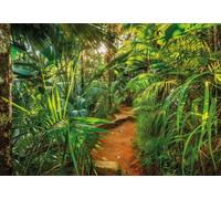 Papier Peint Mural Botanique Vert Jungle Forêt Photo Enfant Affiche Mur