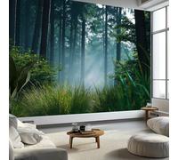 Papier Peint Mural Chambre Photographie Forêt Ensoleillée Herbe Rosée 300 x 210 cm, Poster Mural Tableaux Muraux Tapisserie Vert Salon Chambre d'enfants Mur de Fond Papier Peint Panoramique