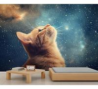 Papier peint mural chat orange ciel étoilé fantaisie animal mural déclaration murale restaurant dîner à grande échelle art décoration photo accent panoramique (non autocollant)