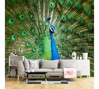 Papier peint mural de taille personnalisée, plumes de paon, affichage vibrant bleu vert plumage exotique, tissu mural auto-adhésif (pas de PVC) papier peint amovible pour salon, chambre à coucher