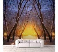 Papier Peint Mural - Décoration Murale 3D Personnalisée, Paysage De Réverbère Du Parc De La Ville D'Hiver 450(W)X315(H)Cm Fresco, Hd Print Art Poster Photo Photo Étanche Peel And Stick Mural, -6072252