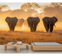 Papier peint mural éléphant, papier peint mural éléphants d'Afrique, papier peint animaux de prairie pour salon, chambre à coucher, étude, décoration de fond TV - 400 x 280 cm