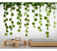 Papier peint mural Eucalyptus vignes feuilles simples murale déclaration murale de restaurant dîner à grande échelle Art Decor Photo Panoramique Accent (non autocollant)