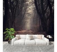 Papier Peint Mural Intissé Photo 200x140 cm Sentier de Brume Matinale En ForêT Poster Mural Fresque Murale pour Salon, TV Mur, Intérieure Gris Anti-poussière Papier Peint Fresque Murale