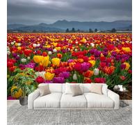 Papier Peint Mural Intissé Photo 300x210 cm Champs de Tulipes Romantiques Poster Mural Fresque Murale pour Salon, TV Mur, Intérieure Coloré Anti-poussière Papier Peint Fresque Murale