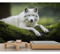 Papier peint mural loup - Décoration murale pour chambre à coucher - 400 x 280 cm - Ne se décolle pas et ne colle pas