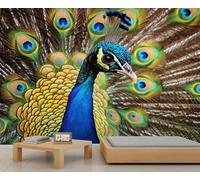 Papier peint mural motif paon - Motif oiseaux - Pour salon - 400 x 280 cm - Ne se décolle pas et ne colle pas