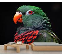 Papier peint mural motif perroquet 200 x 140 cm - Décoration murale à thème animal - Décoration murale pour chambre à coucher - Ne se décolle pas et ne colle pas