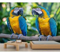 Papier peint mural motif perroquet, nature - Décoration murale pour chambre à coucher d'oiseaux - 250 x 175 cm - Ne se décolle pas et ne colle pas