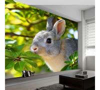 Papier Peint Muraux Affiche Photo 200L x 140H cm, Papier Peint Mural Photo Animaux Imprimé Forêt Lapins - Décoration Murale Photographie Artistique pour Salon Chambre d'Enfant Couloir Salle de Jeux