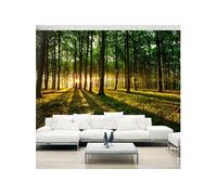 Papier peint Mystical Morning-Taille L 200 x H 140 cm