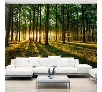 Papier peint Mystical Morning-Taille L 250 x H 175 cm Imprimé