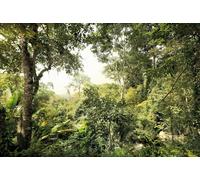 Papier Peint Non Tissé Forêt Tropicale Jungle Verte Éclatante Mural De Chambre