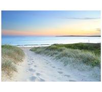 Papier peint non tissé moderne à motif plage, mer, mer du Nord, dunes naturelles, 100 x 75 cm, avec colle, pour salon, chambre à coucher, couloir