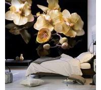 Papier peint Non renseigné Papier peint Orchids in ecru color-Taille L 350 x H 270 cm