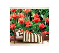 Papier peint Painted flowers-Taille L 350 x H 270 cm Imprimé