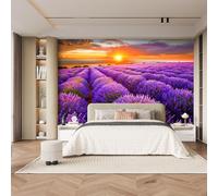 Papier Peint Panoramiqu Coucher Soleil Champs LavanProvence 3D intissé Murale Campagne Luxe Discret Papier Peint xxl Fresque Moderne Peinture Murale Décorative pour Salon Chambre 366x254 28f165